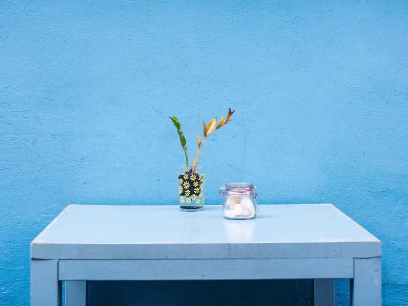 La cultura cafetera que transforma la vida en Boquete